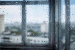 Read more about the article Hurricane Windows vs Impact Windows: What’s The Difference?